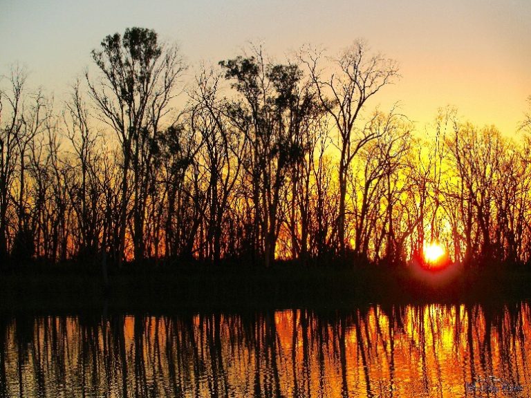 Downstream Waikerie sunset WO96WM24